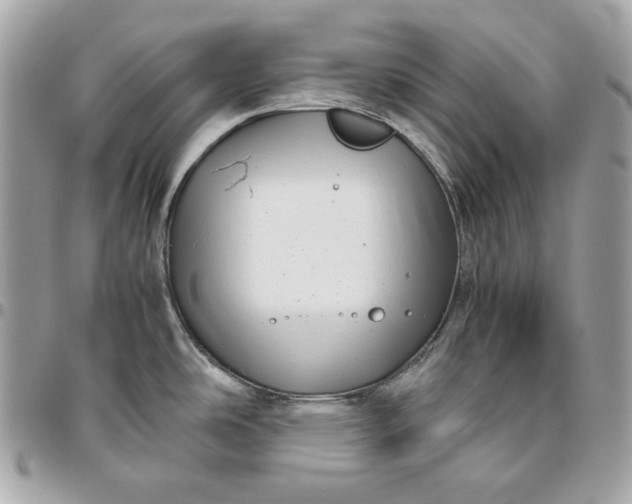 X0000096421486200802071651