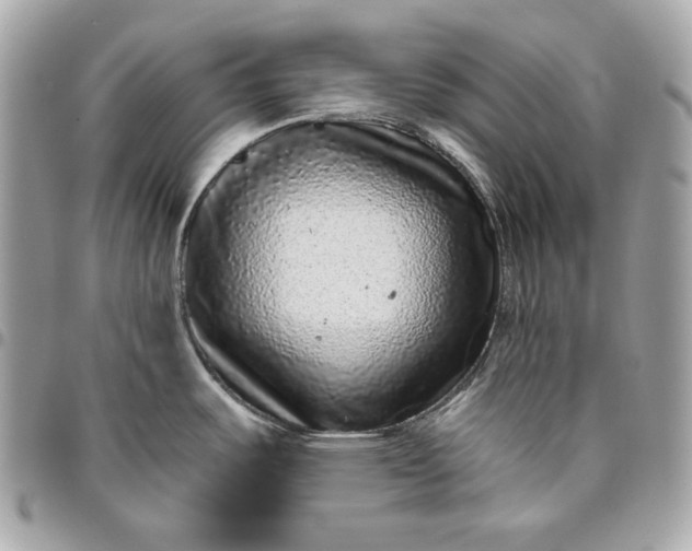 X0000096421487200802071651