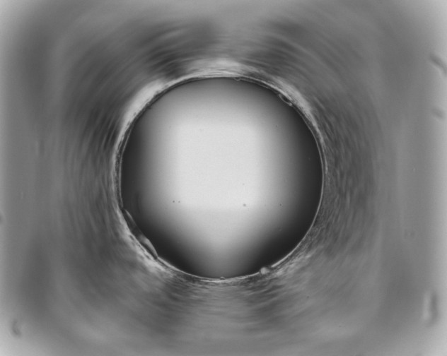 X0000096421488200802071651