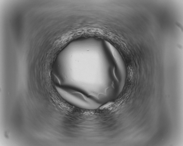 X0000096421489200802071650