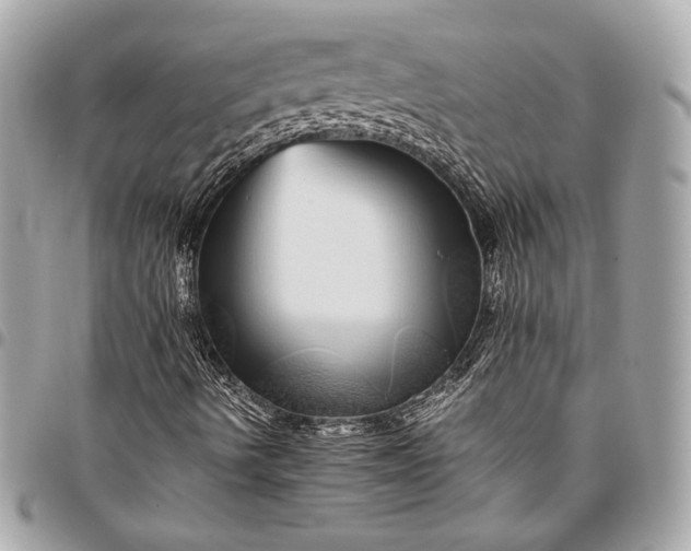 X0000096421490200802071650