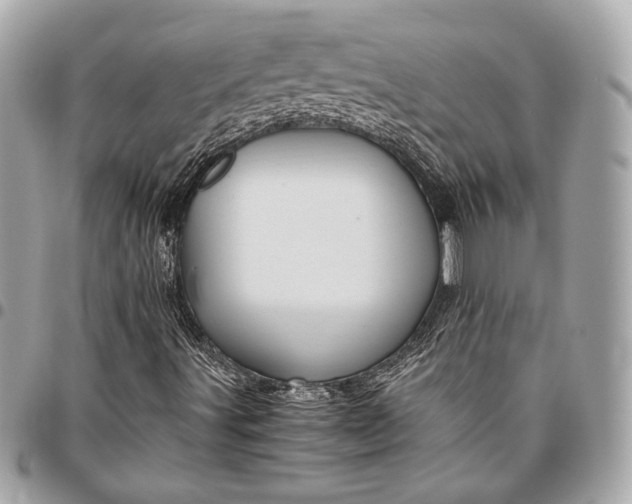 X0000096421491200802071650