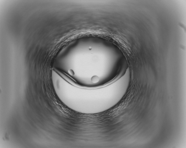 X0000096421492200802071650