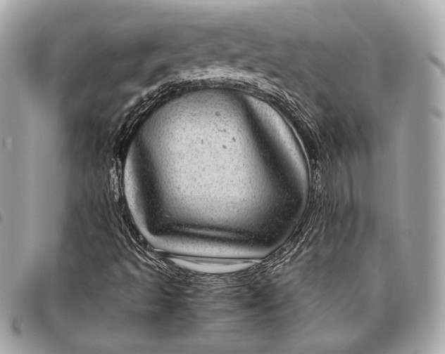 X0000096421493200802071650