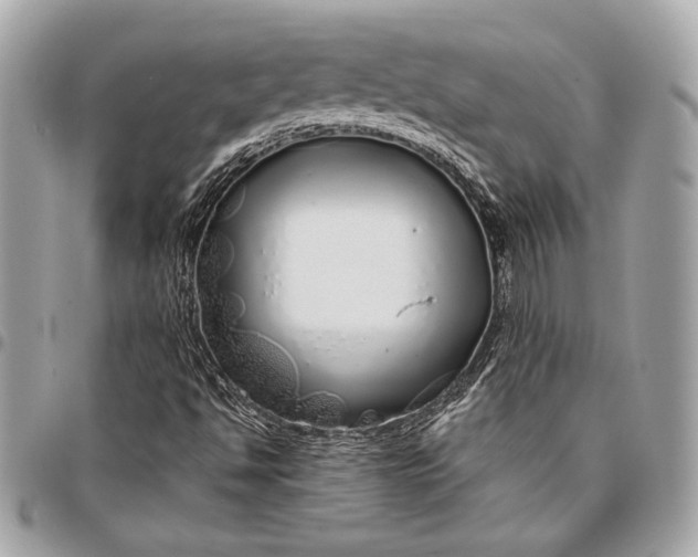 X0000096421494200802071650