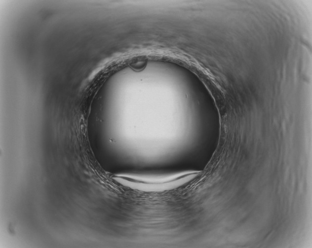 X0000096421495200802071650