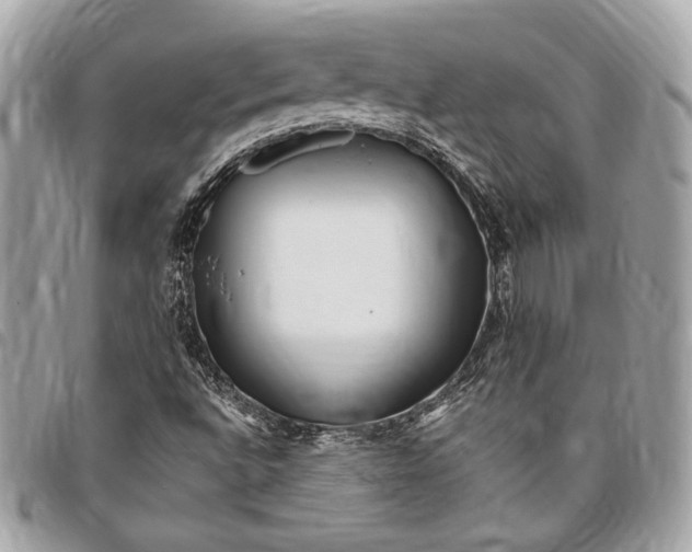 X0000096421496200802071650