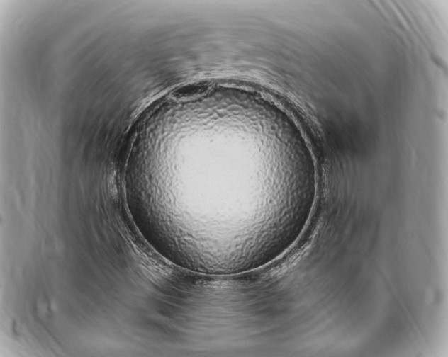 X0000096421497200802071650