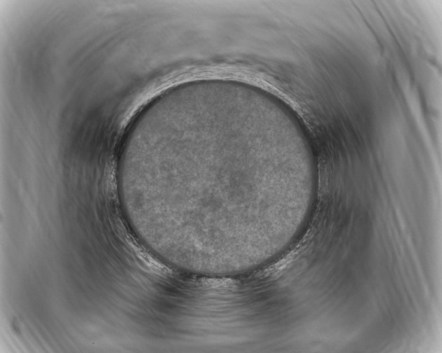 X0000096421498200802071650