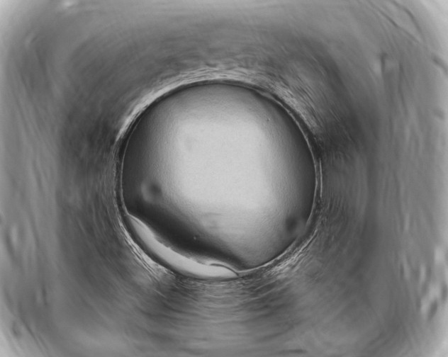 X0000096421500200802071650