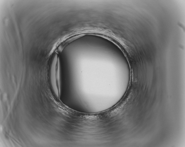 X0000096421501200802071650