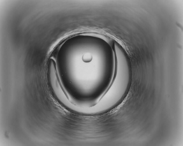 X0000096421502200802071650