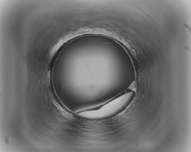 X0000096421503200802071650