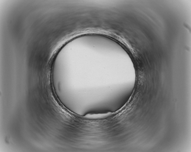 X0000096421504200802071650