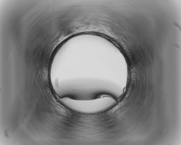 X0000096421505200802071650