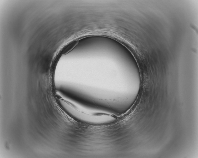 X0000096421506200802071650