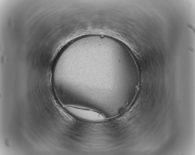 X0000096421507200802071651