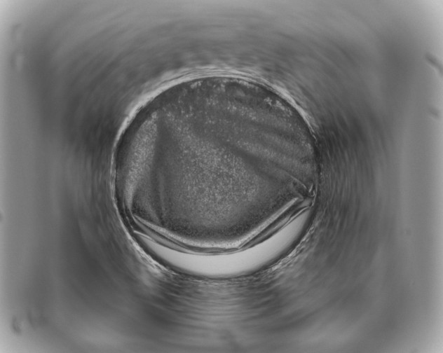 X0000096421508200802071651