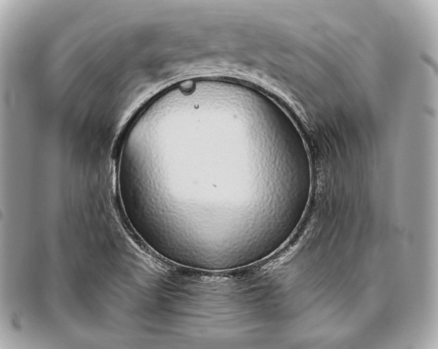 X0000096421509200802071651