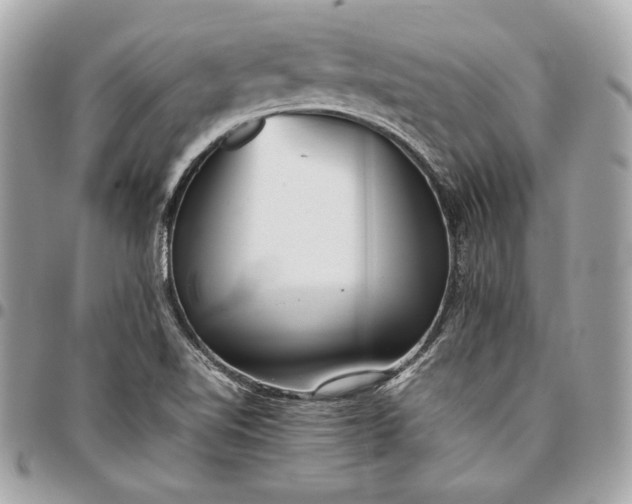 X0000096421510200802071651