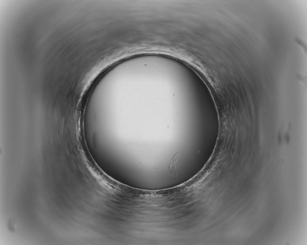 X0000096421511200802071651