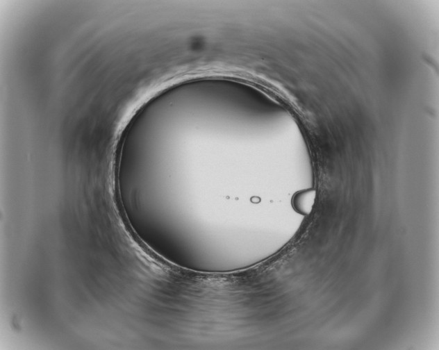 X0000096421512200802071651