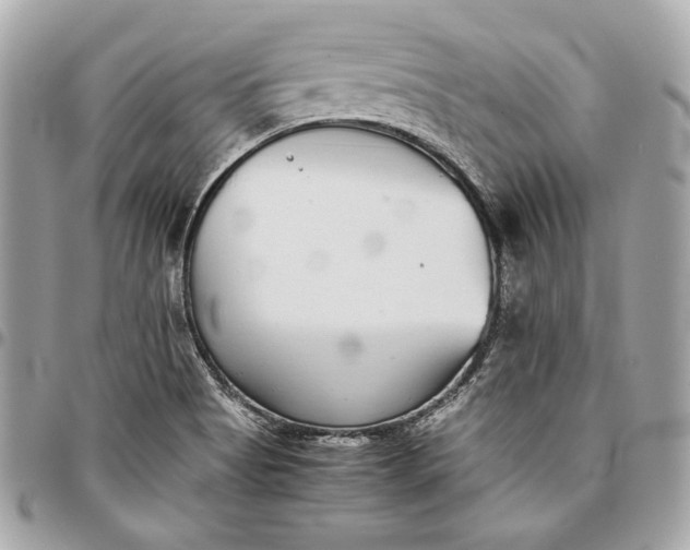 X0000096421513200802071651