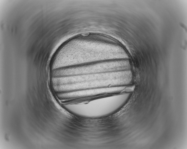 X0000096421515200802071651