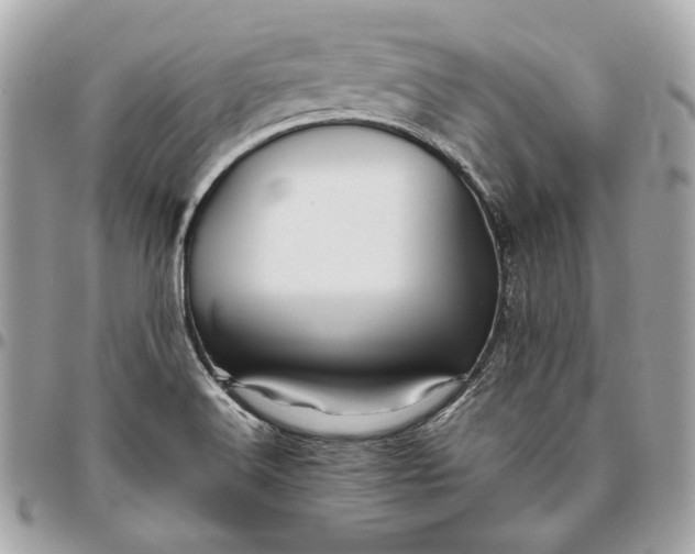 X0000096421516200802071651