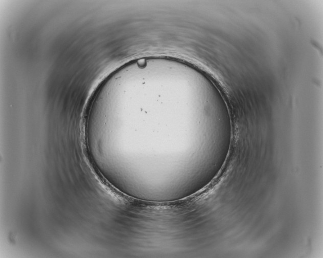 X0000096421517200802071651