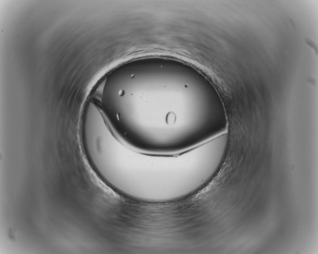 X0000096421518200802071651