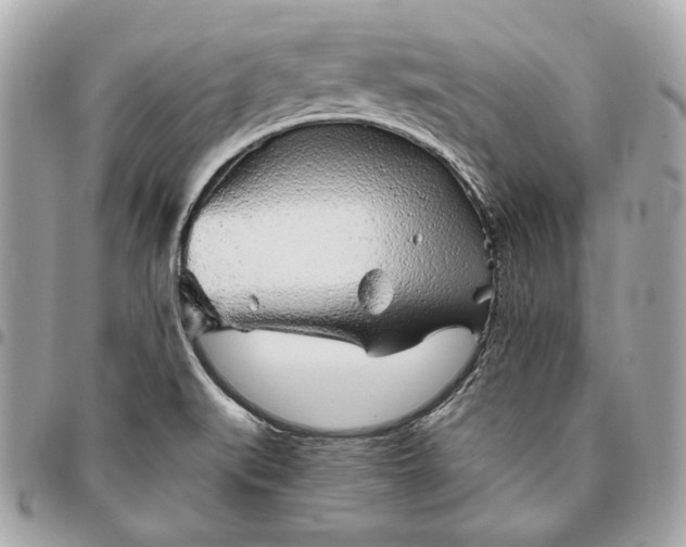 X0000096421519200802071651