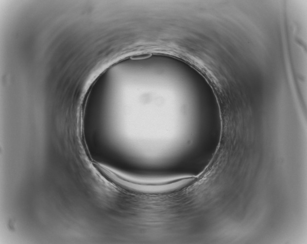 X0000096421520200802071651