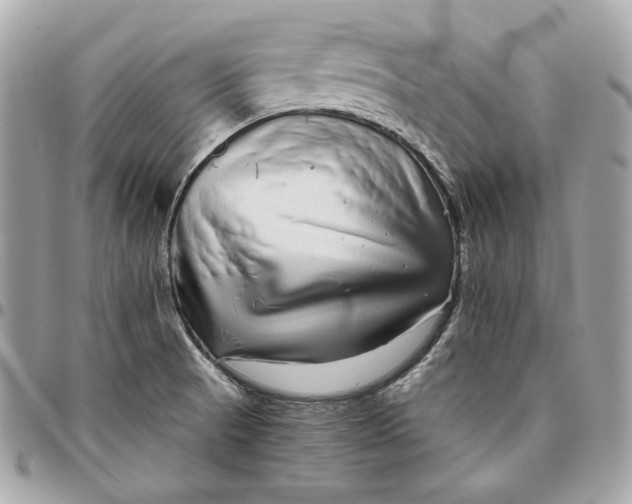 X0000096421521200802071651