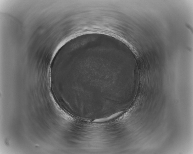 X0000096421522200802071651