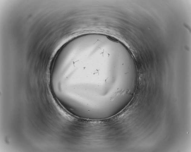 X0000096421523200802071651