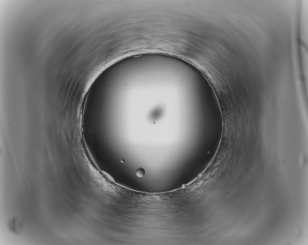 X0000096421524200802071651