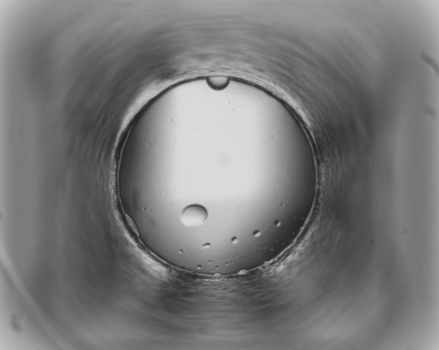 X0000096421525200802071651