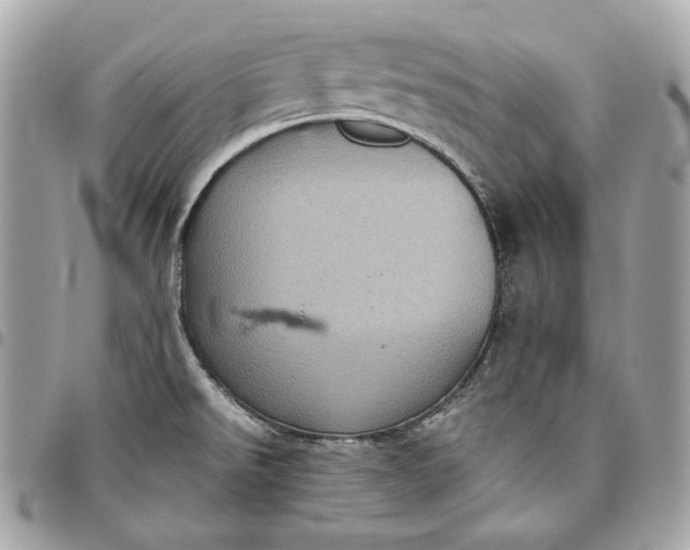 X0000096421526200802071651