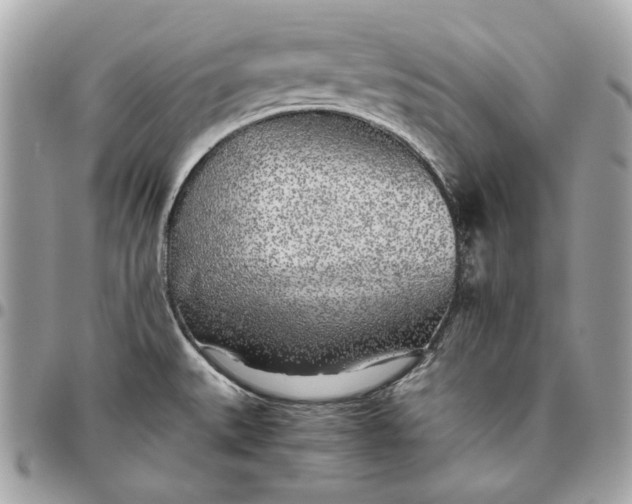 X0000096421527200802071651