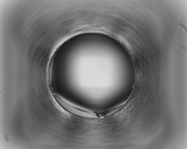 X0000096421528200802071651