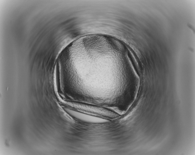 X0000096421529200802071651