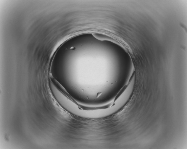 X0000096421530200802071651