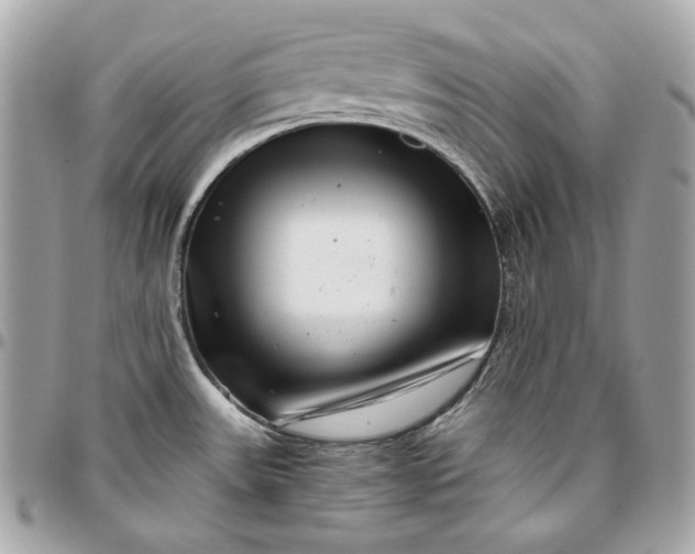 X0000096421531200802071651