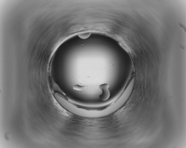 X0000096421532200802071651