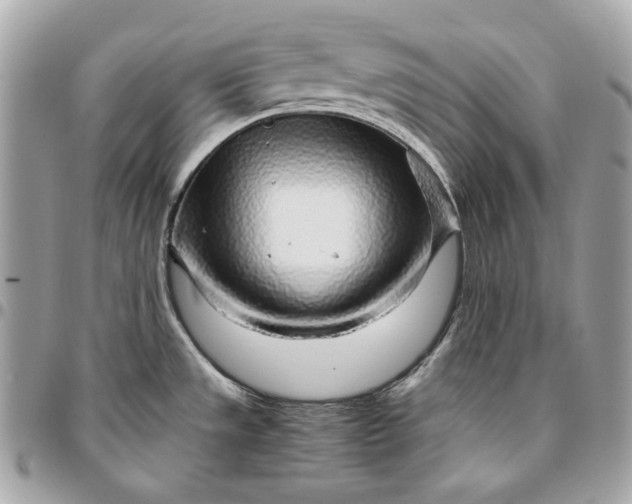 X0000096421533200802071651