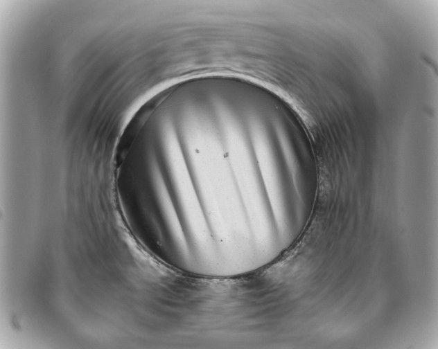 X0000096421534200802071651