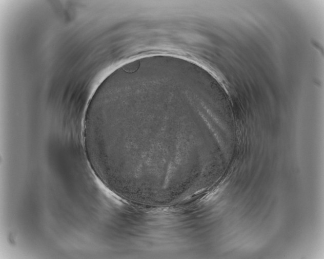 X0000096421535200802071651