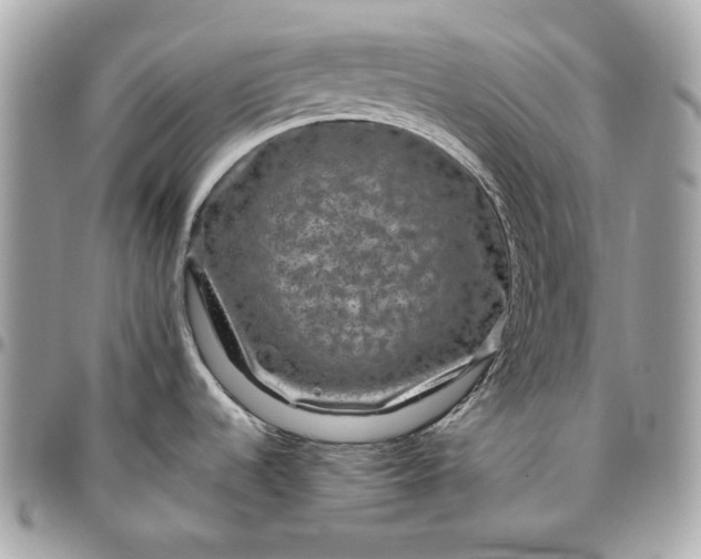 X0000096421536200802071651