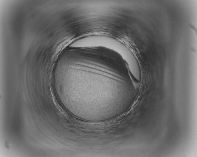 X0000096420001200802141645